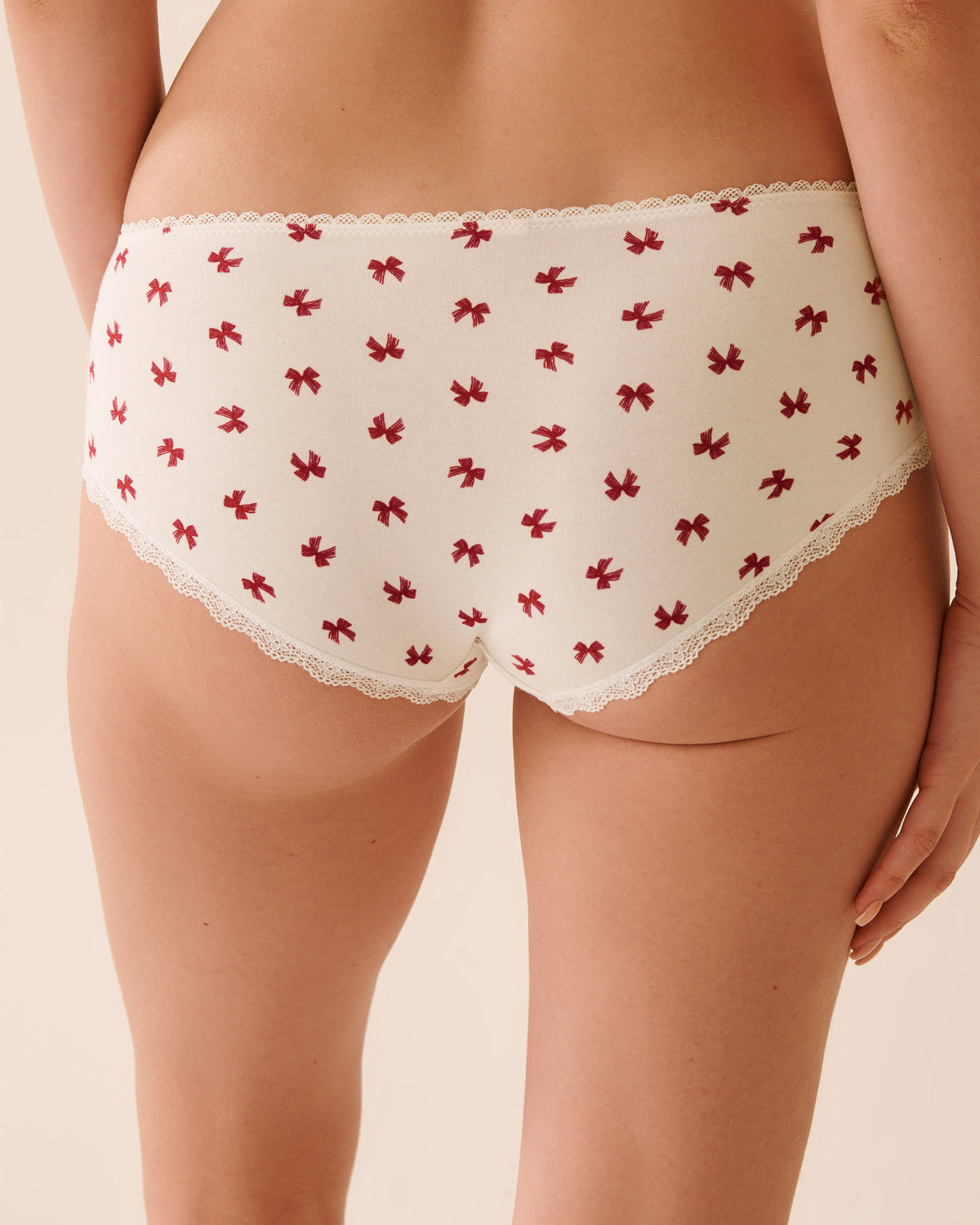 La Vie En Rose Cotton and Lace Detail Hiphugger Panty