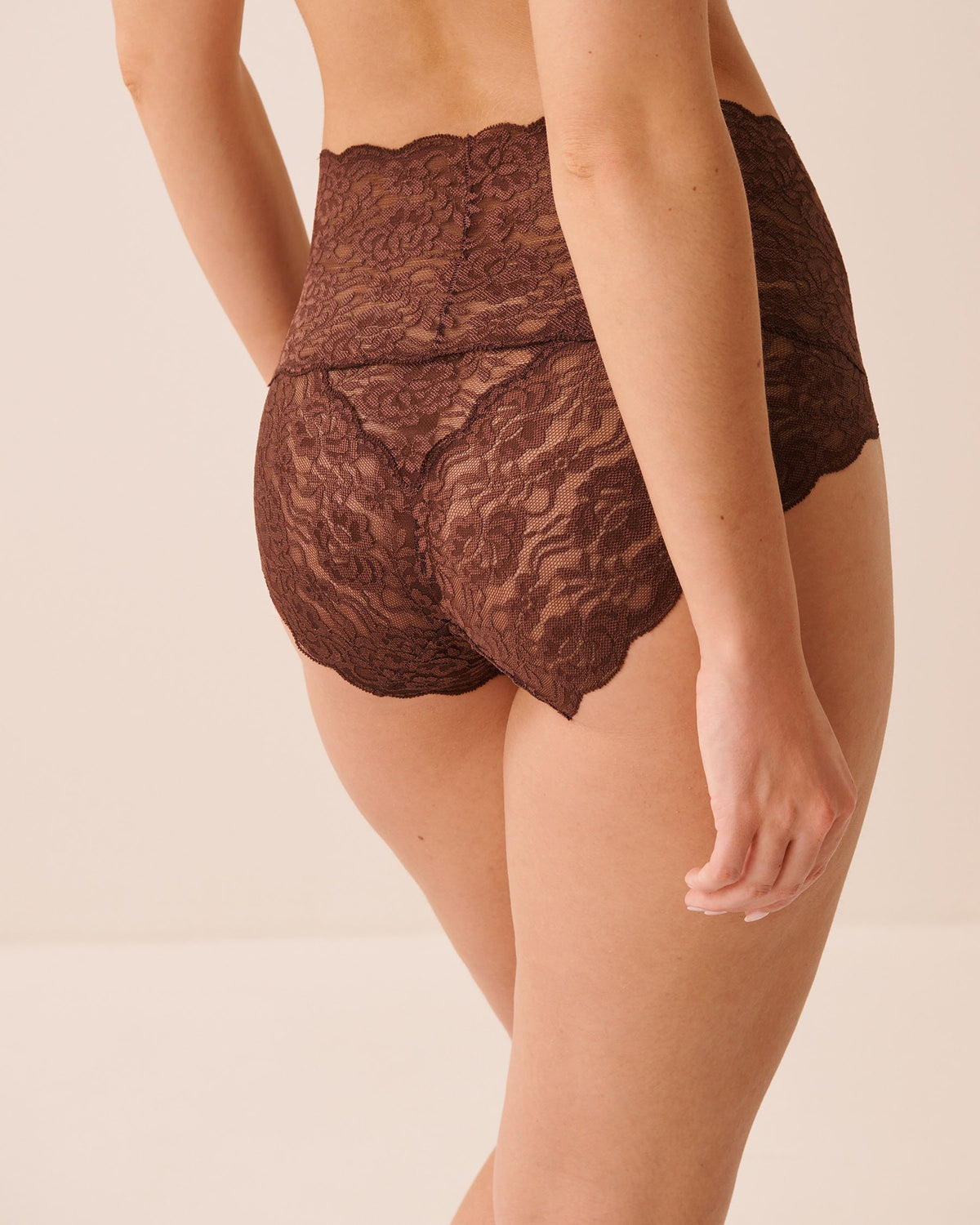 Lace High Waist Bikini Panty