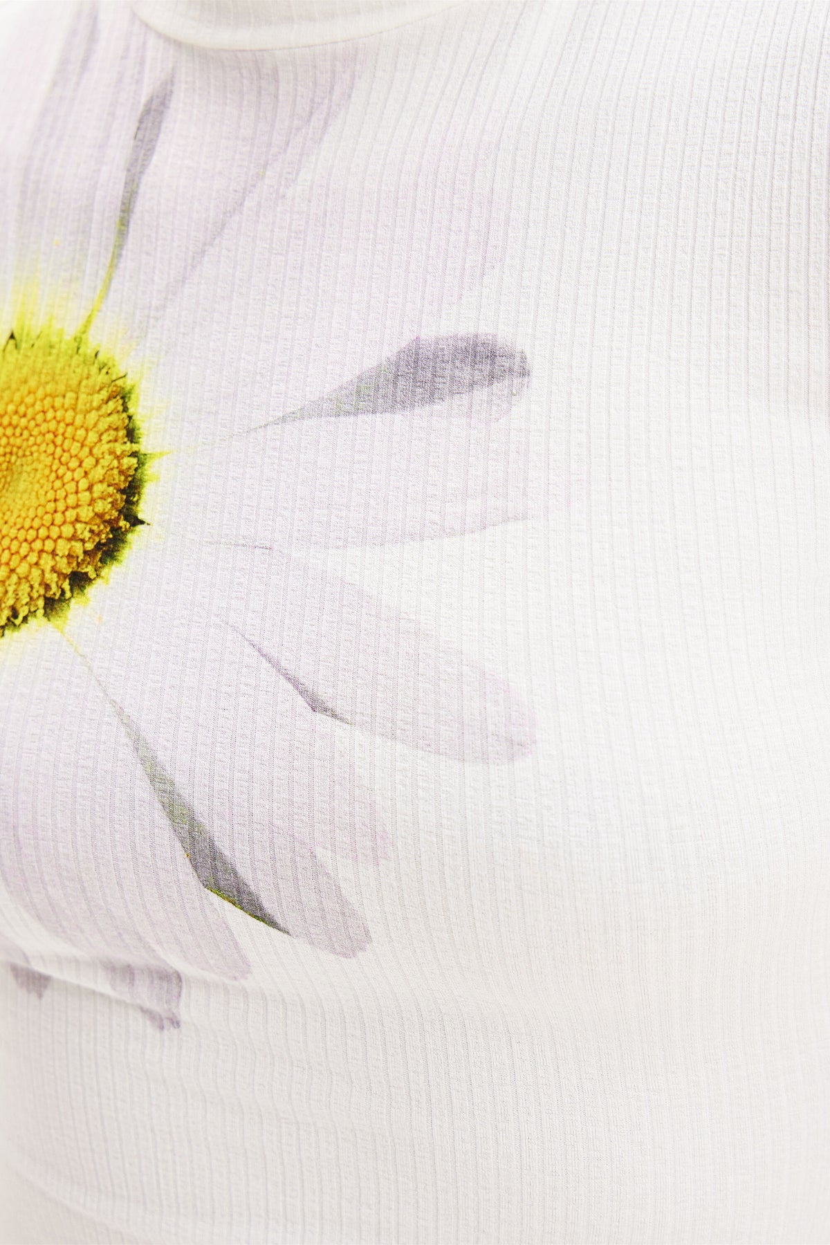 Desigual Short Daisy Skater Dress
