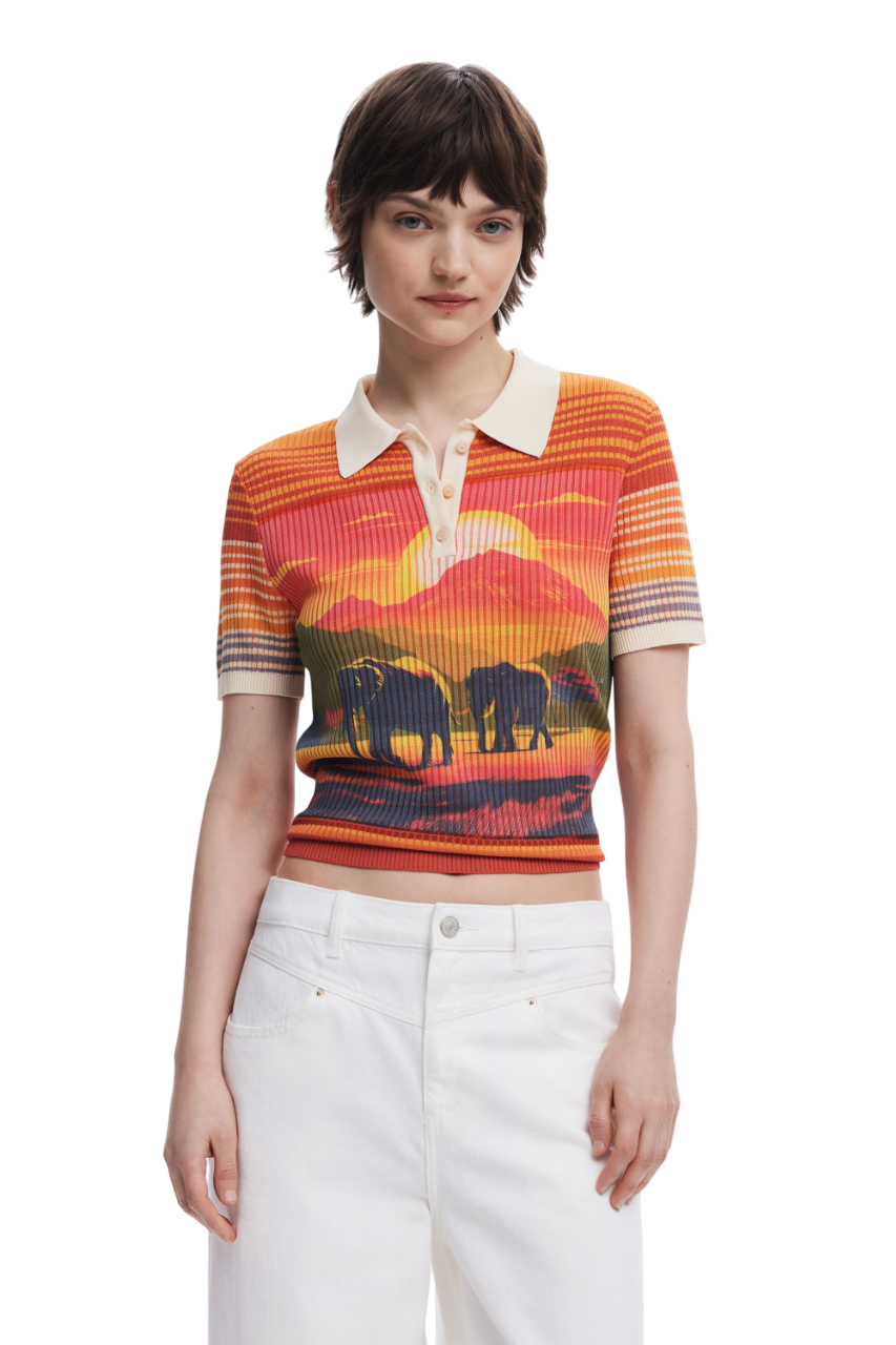 Desigual Elephant knit T-shirt