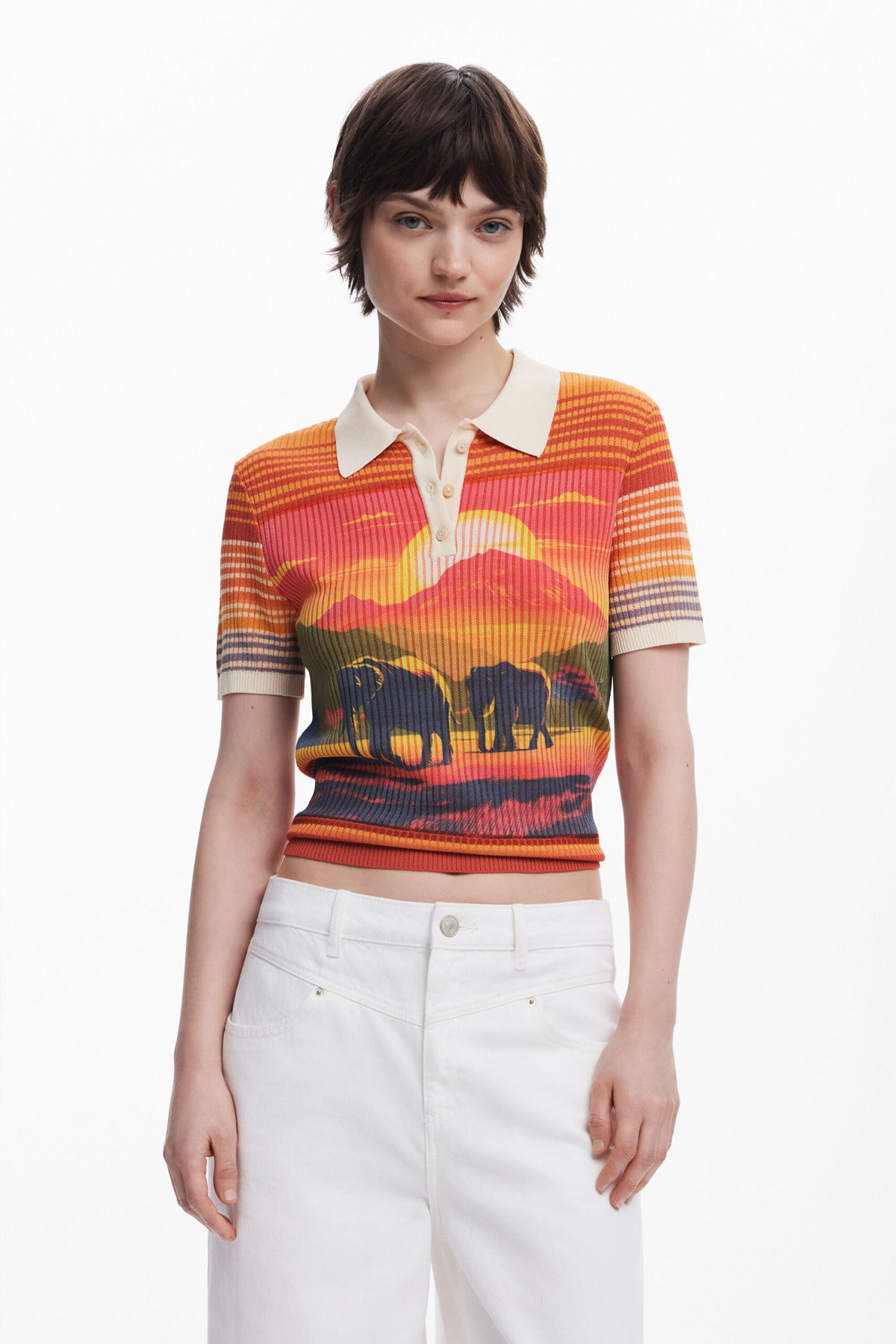 Desigual Elephant knit T-shirt