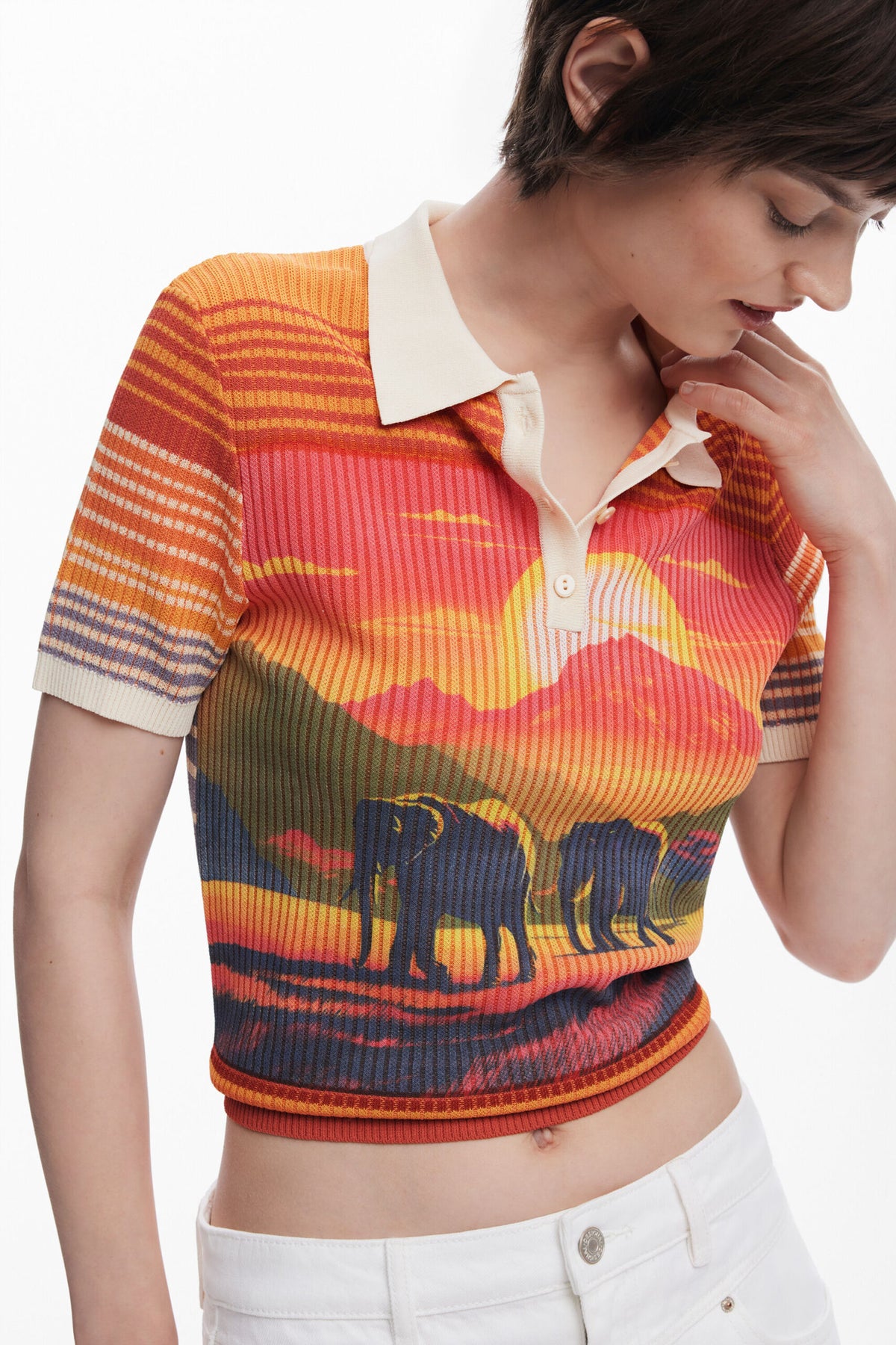 Desigual Elephant knit T-shirt