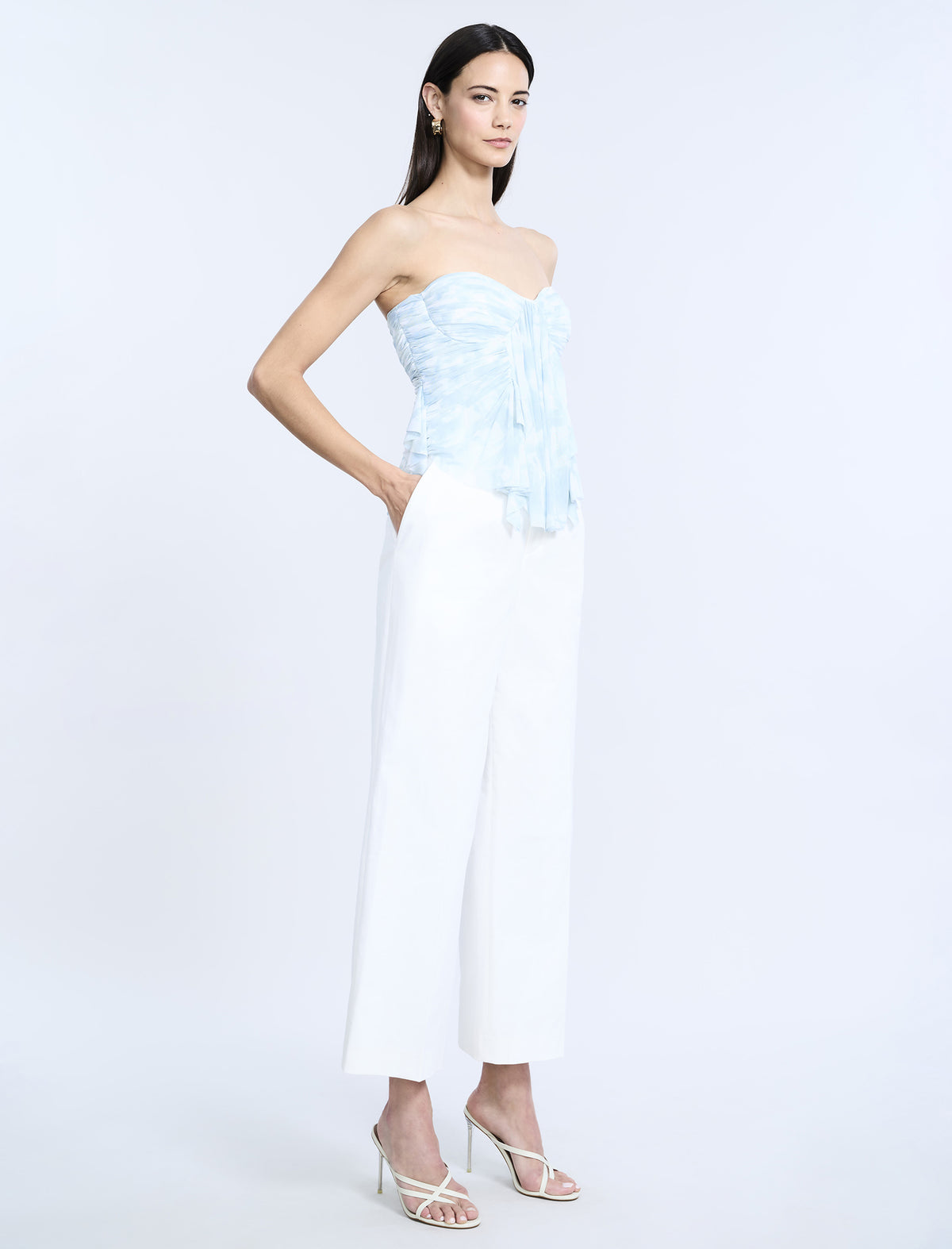 BCBGMAXAZARIA Printed  Mesh Corset
