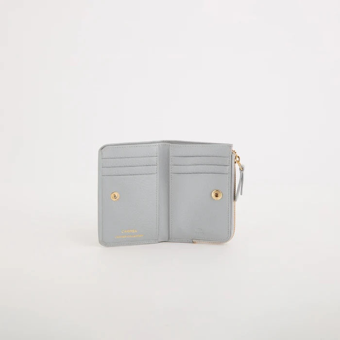 Carpisa Women's Medium Wallet - Delta spring wallet